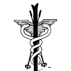 Carlos Otis Stratton Mountain Clinic Inc logo