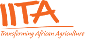 International Institute of Tropical Agriculture logo