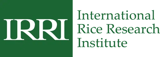 International Rice Research Institute logo