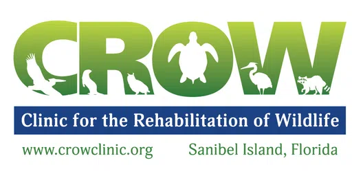 Clinic for the Rehabilitation of Wildlife Inc logo