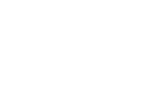 Big Long Lake Cottagers Association logo