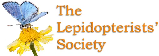 Lepidopterists Society logo