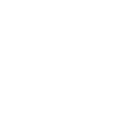 Naval Academy Sailing Foundation Inc logo