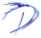 American College Dance Association Inc logo