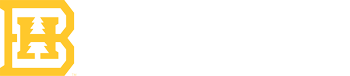 Black Hills State University Foundation logo