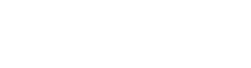 Access logo