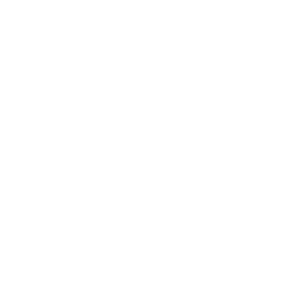 Camp Susque Inc logo