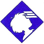 Camp Blue Diamond logo