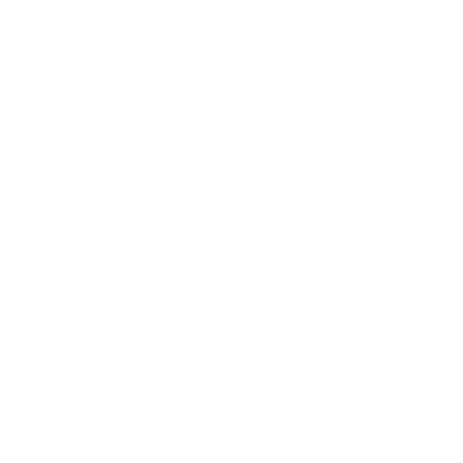 Diversfied Family Services Inc logo