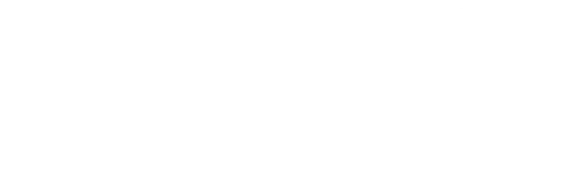 Neighboorhood Allies Inc logo