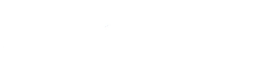 WYSS Foundation logo