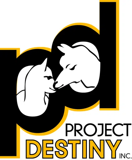 Project Destiny Inc logo