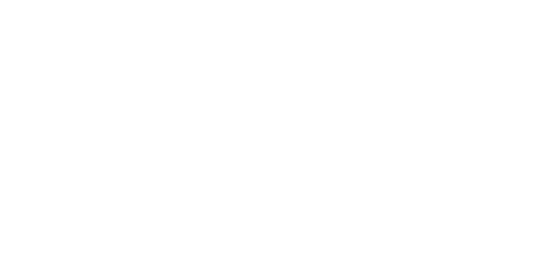 Ryse Inc logo