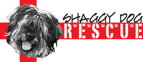 SHAGGY Dog Rescue logo