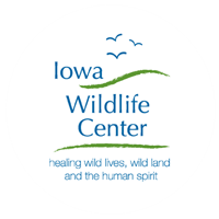 Iowa Wildlife Center logo