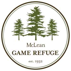Mclean Affiliates Inc logo