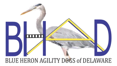 Blue Heron Agility Dogs of Delaware logo