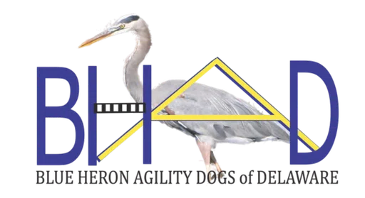 Blue Heron Agility Dogs of Delaware logo