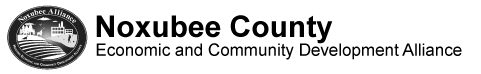 Noxubee Economic and Community Development Alliance logo