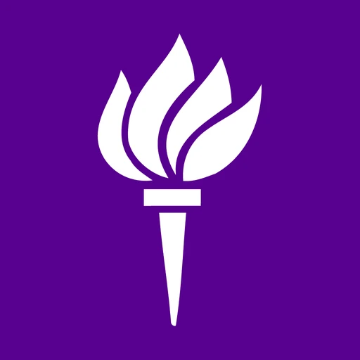 New York University in Abu Dhabi Corporation logo