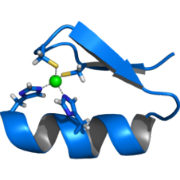 International Society for Zinc Biology logo