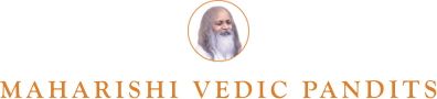 Brahmananda Saraswati Foundation logo