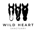 Reinfreeorg logo