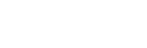Israel-America Academic Exchange logo