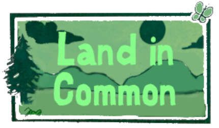 Land in Common Inc logo
