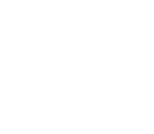Community Healing Network Inc logo
