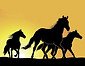 Sonoma Equine Rescue Rehab & Adoption Inc logo