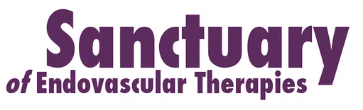 Set Foundation Inc logo