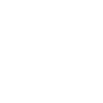 American Principles Project logo