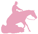 Rein in Cancer Foundation logo