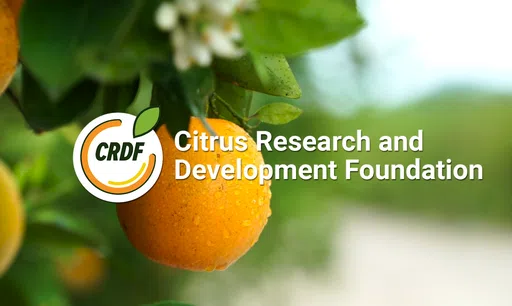 Citrus Research and Development Foundation Inc logo