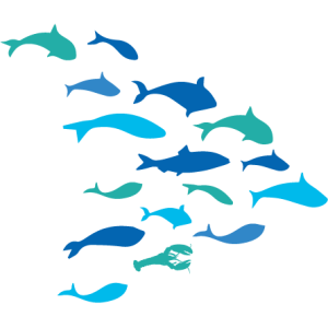 Maine Center for Coastal Fisheries logo