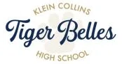 Klein Support Groups Inc logo