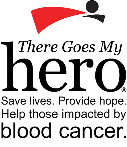 There Goes MY Hero logo