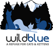 Wild Blue Cats logo