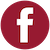National Nurses United logo