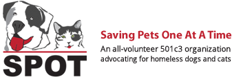 Spot logo