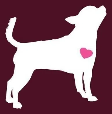 Long Way Home Inc logo