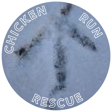 Chicken Run Rescue logo