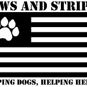 Paws and Stripes logo