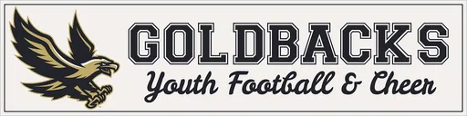 Town of Newburgh Youth Football logo
