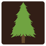 Camp Sweet Life Adventures Inc logo