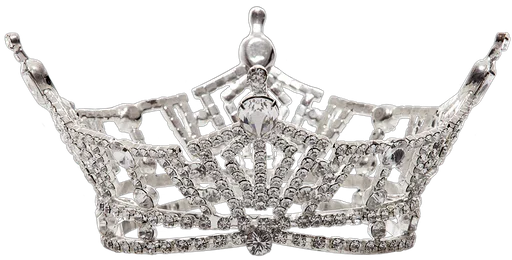 Miss North Dakota Scholarship Organization Inc logo