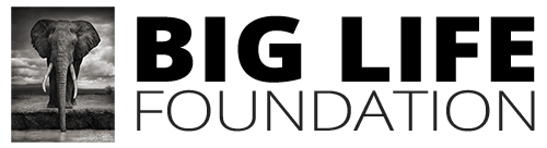 Big Life Foundation USA logo