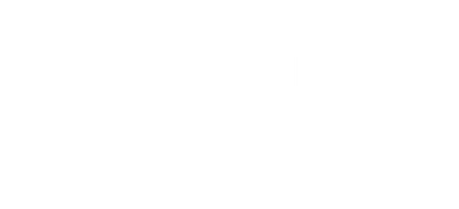 Action in Africa Inc logo