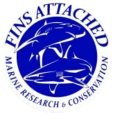 Fins Attached Marine Research and Conservation logo
